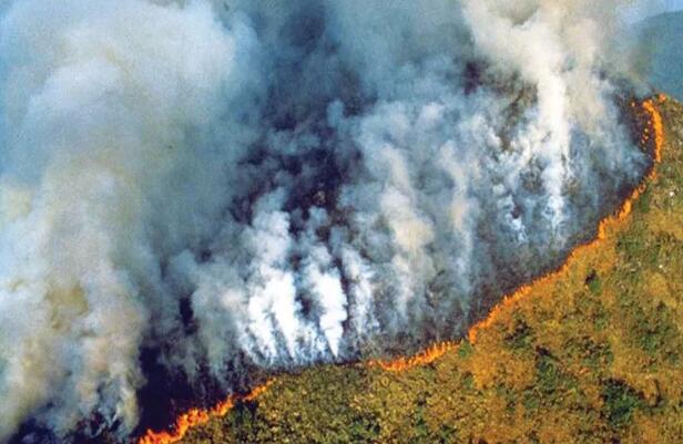 燃烧超过21天的南半球，这是世界上最残酷的一幕……